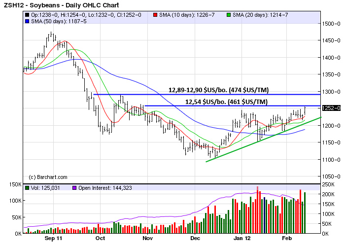 soy tech MT 13 fev 12